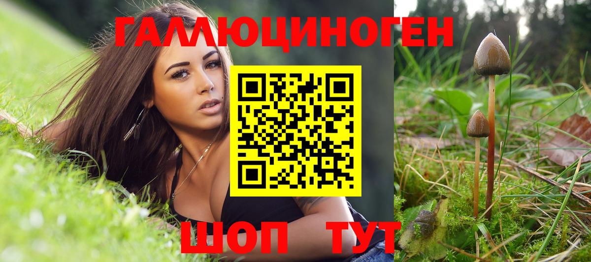Ишим  Псилоцибиновые грибы GOLDEN TEACHER  Вход с VPN 